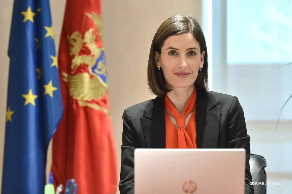 drzavni sekretar ministarstva ekonomskog razvoja milena lipovina bozovic