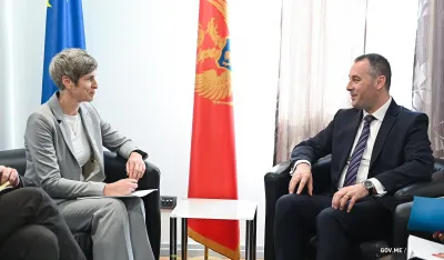 &Scaron;ćekić &ndash; Paniklova