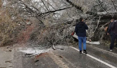 Povrijeđene dvije osobe: Drvo palo na automobil