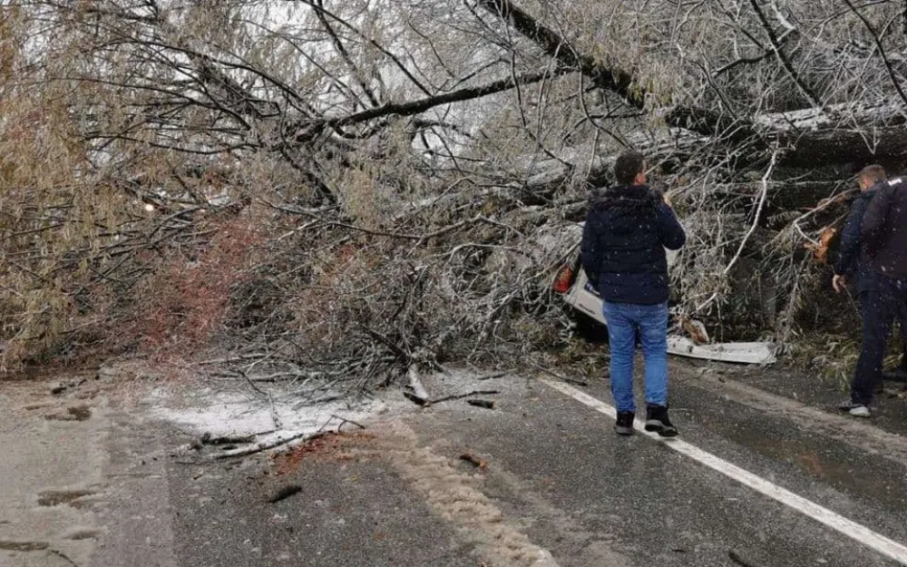 Povrijeđene dvije osobe: Drvo palo na automobil