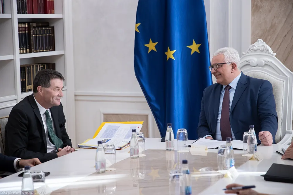 Mandić: Skup&scaron;tina je partner Državnoj revizorskoj instituciji