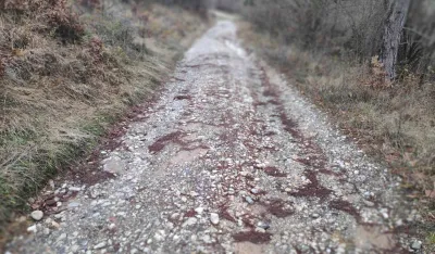Bijelo Polje: Lokalni putni pravac Saјkovac-Srđevac bez asfalta, uzak i sa velikom pedenciјom