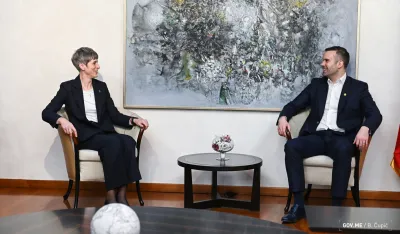 Spajić sa Paniklovom: