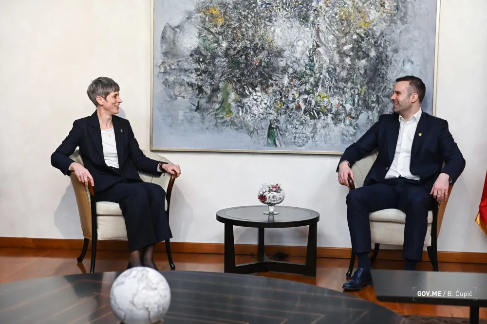 Spajić sa Paniklovom: