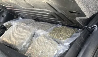 Pronađena marihuana