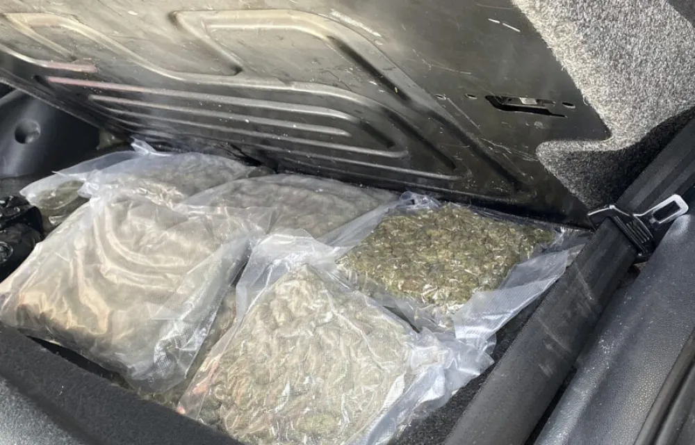 Pronađena marihuana