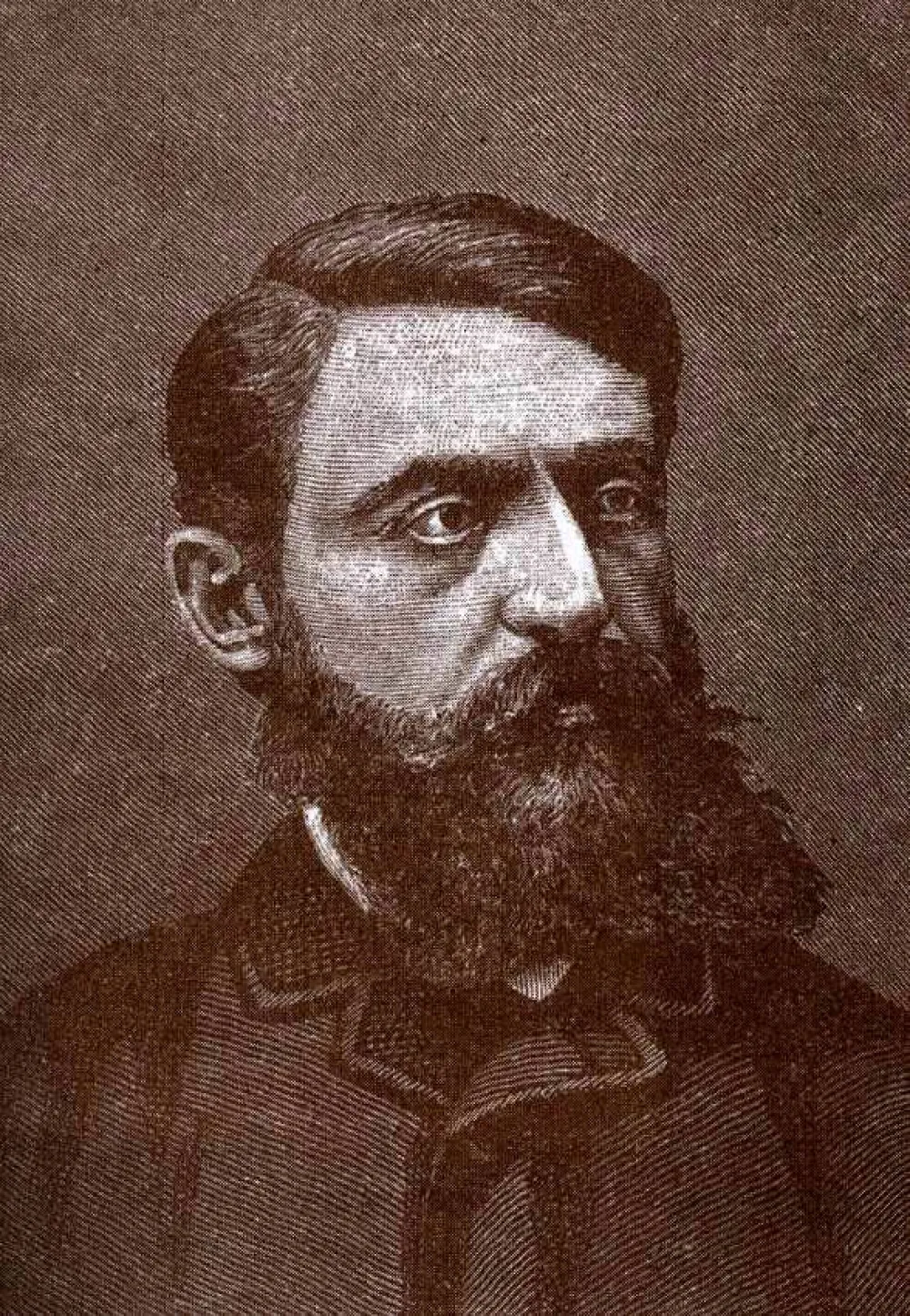Милутин Гарашанин 