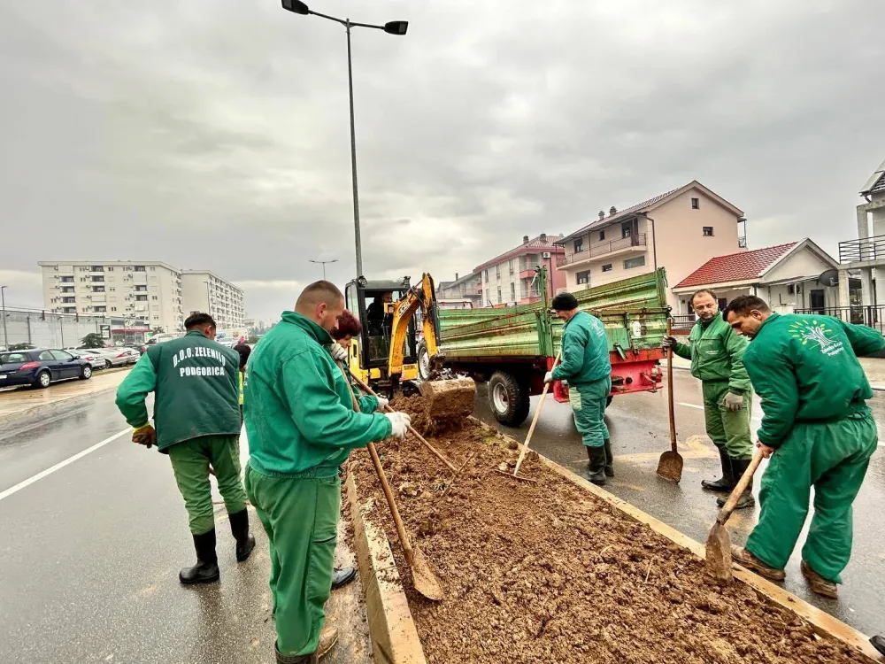 Novi drvored u Zmaj Jovinom bulevaru