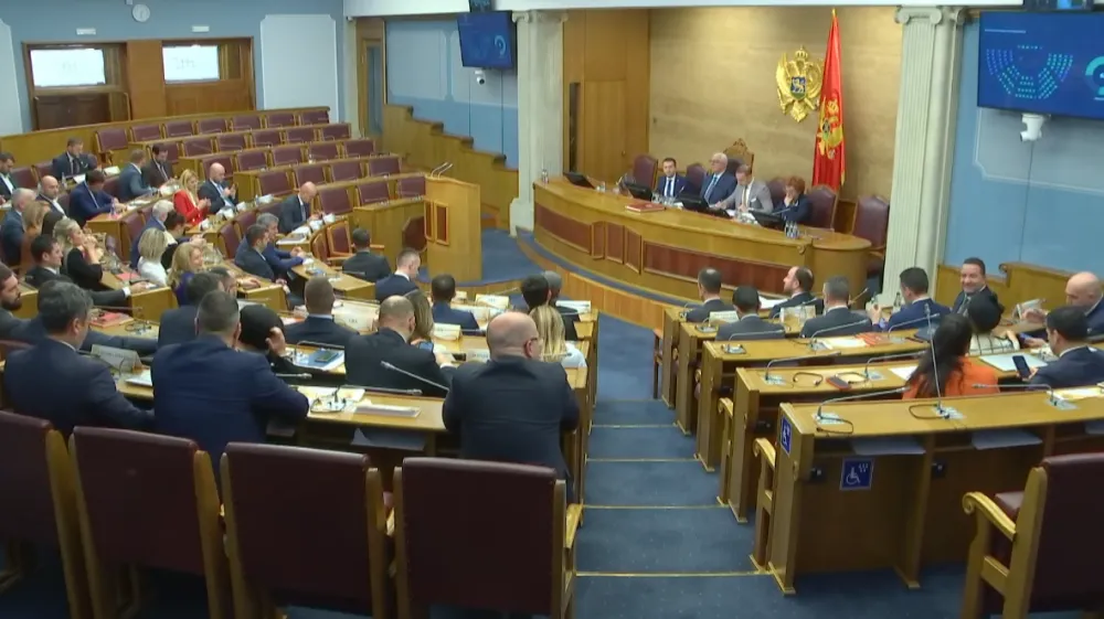 (VIDEO) Podr&scaron;kom 58 poslanika, Irena Radović izabrana za guvernerku Centralne banke