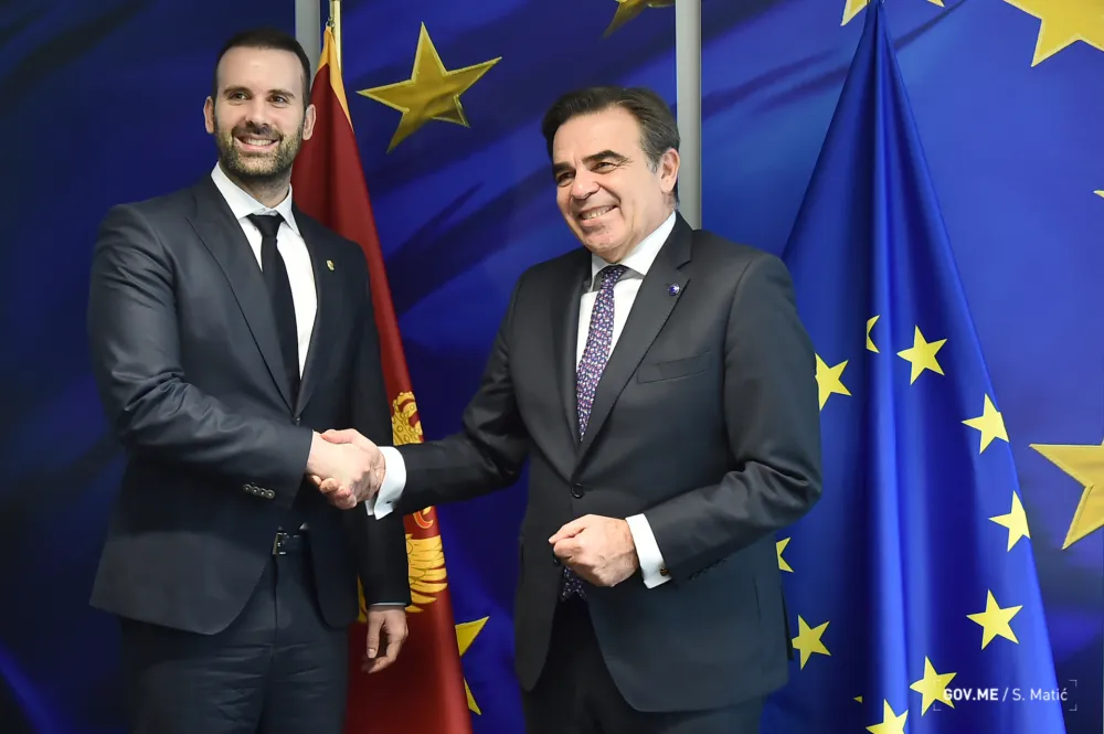 Spajić i Skinas