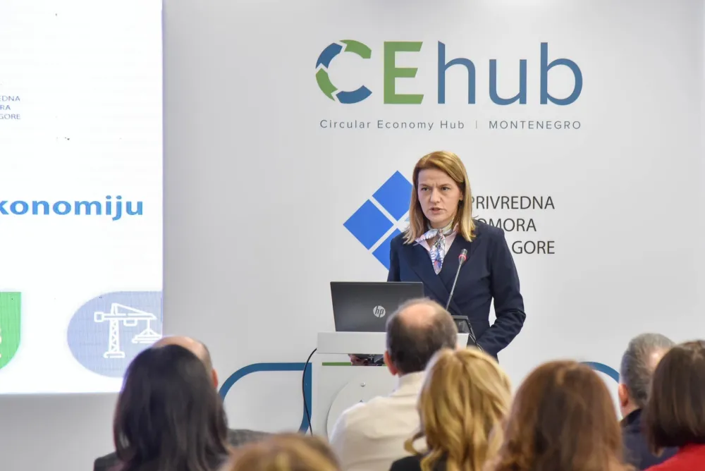 CE hub