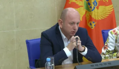 DNP: Knežević jednoglasno izabran za predsjednika partije