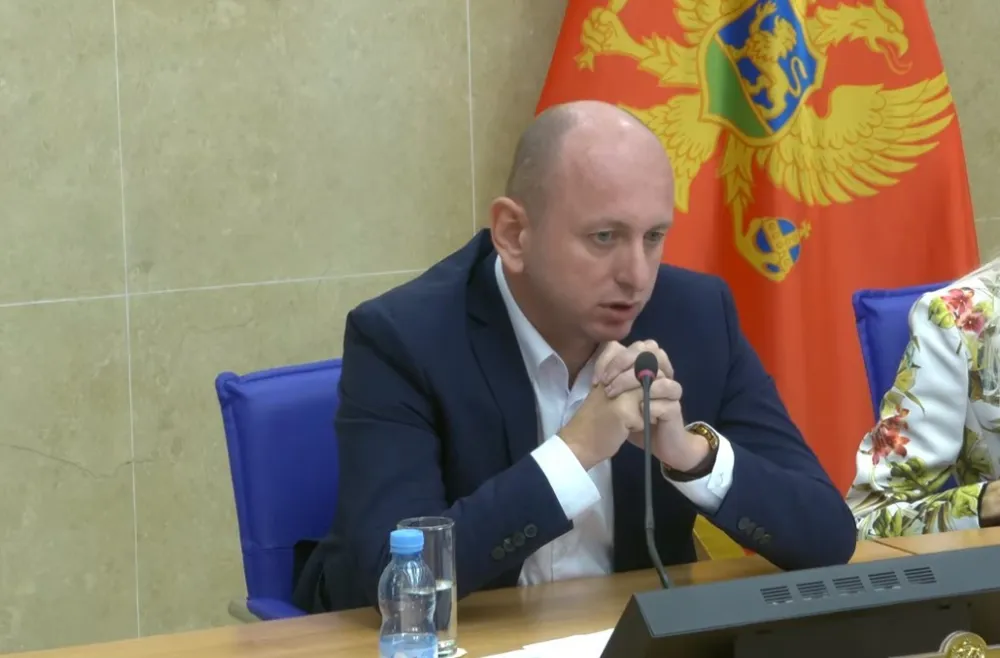 DNP: Knežević jednoglasno izabran za predsjednika partije