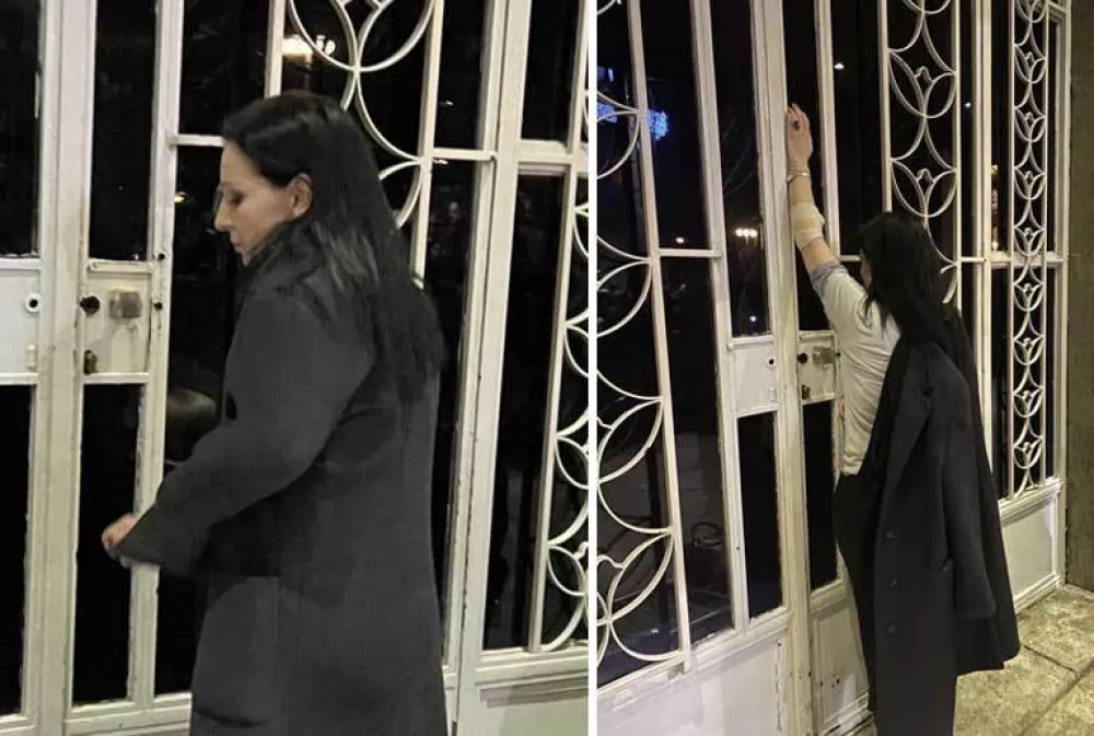Marinika Tepić ispred Skup&scaron;tine Srbije