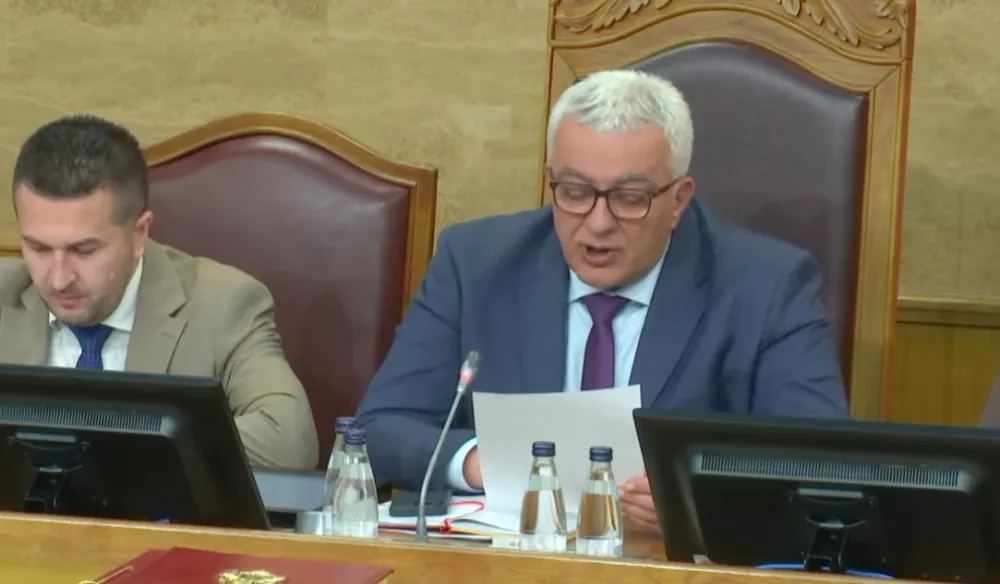 Mandić: Ponovno glasanje o vraćenim zakonima 19. januara