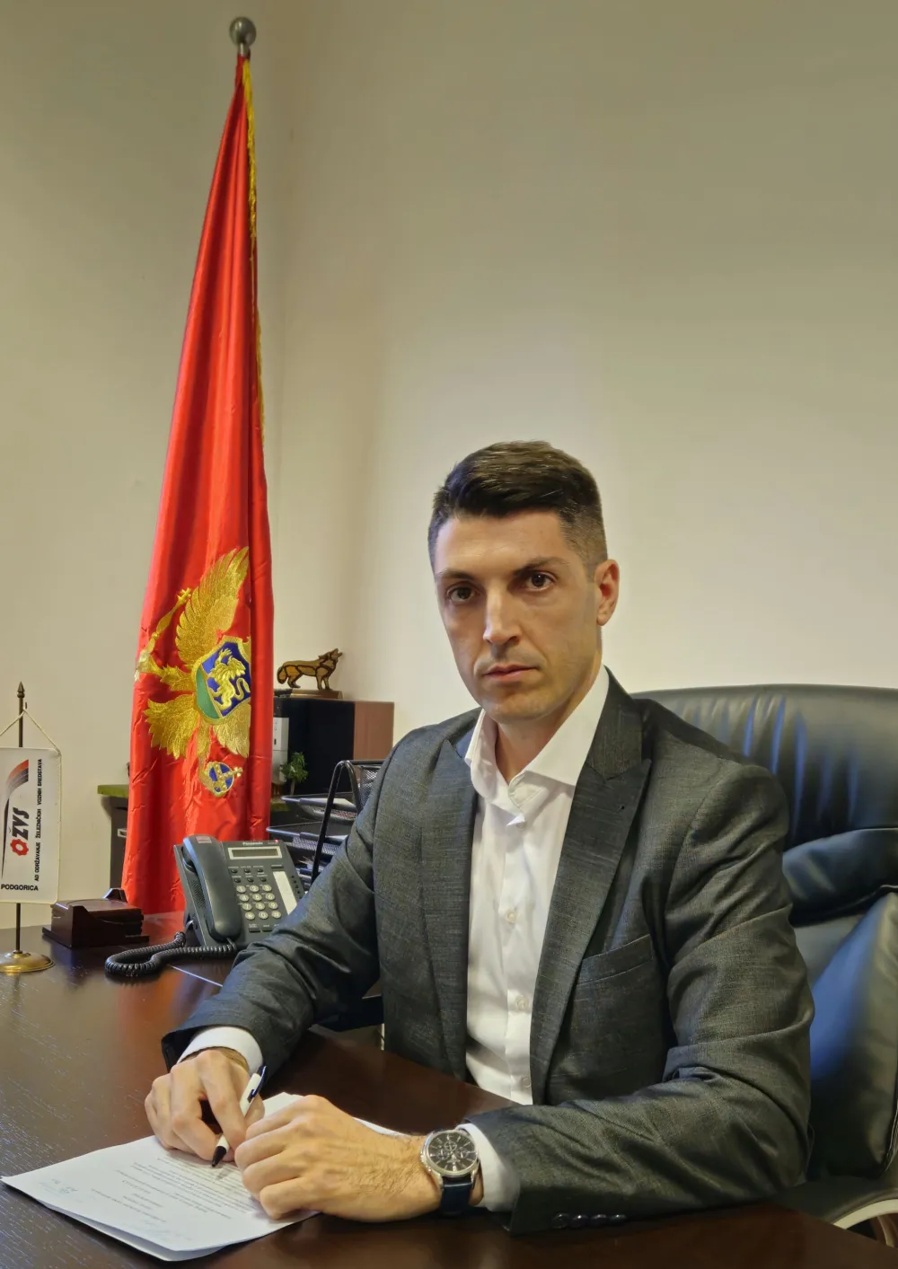 vladan gacevic