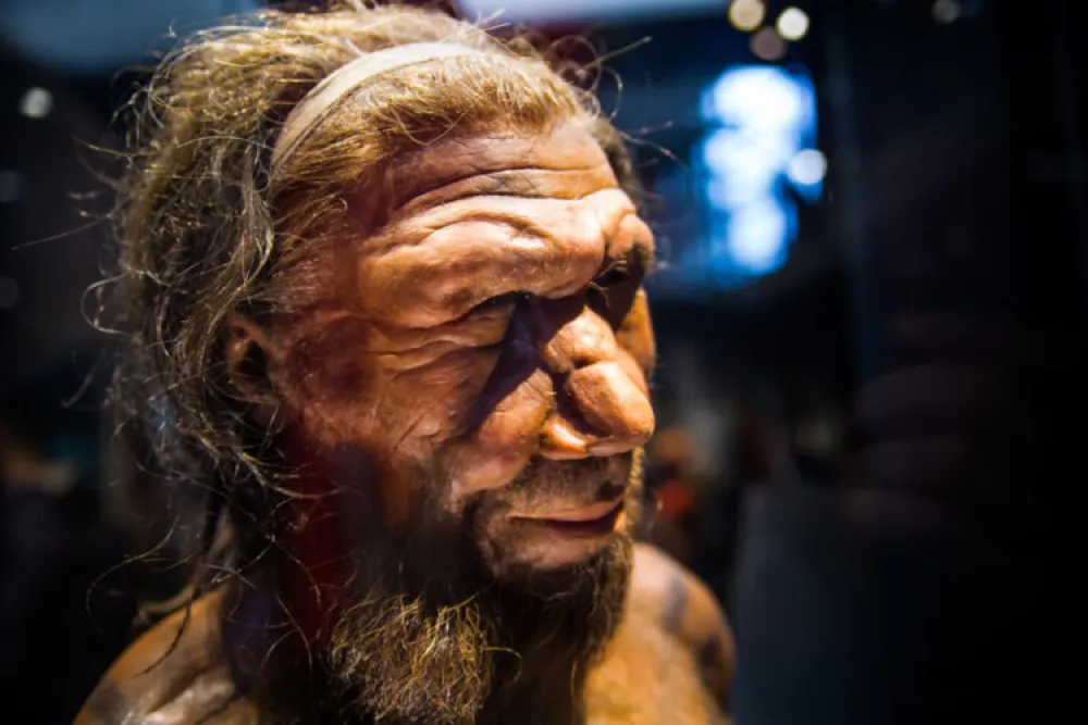 Neandertalci su bili veoma inteligentni