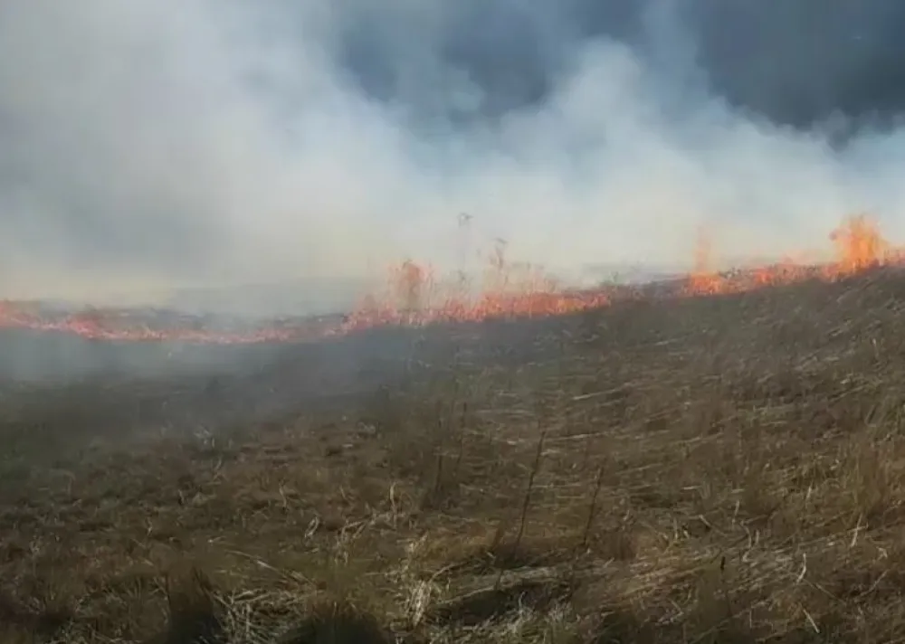 Ponovo gorjelo na visoravni Konjsko, mje&scaron;tani ugasili požar