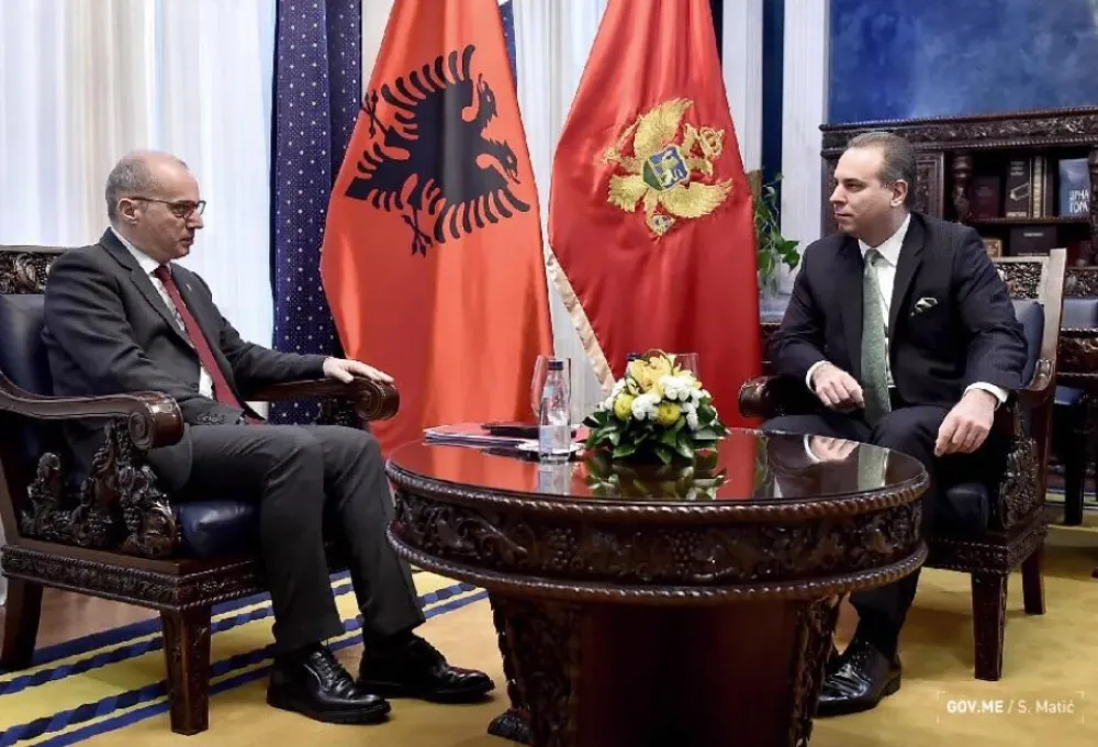 Ivanović Hasani
