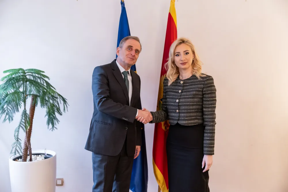 Gorčervić i Reintjes