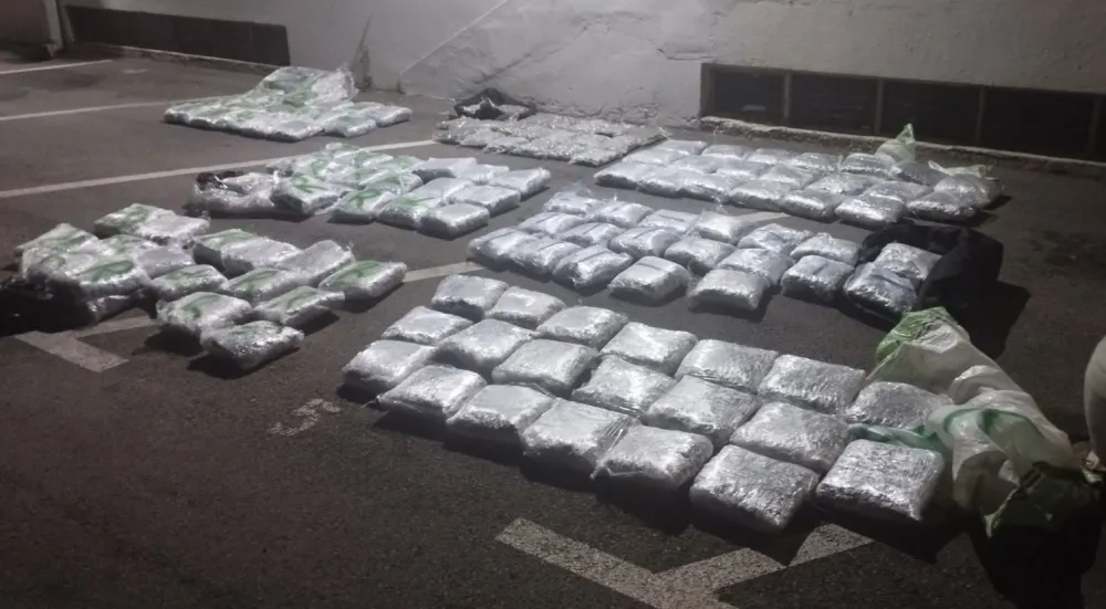 Zaplijenjena marihuana
