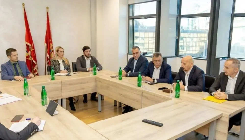 Mujović energetika