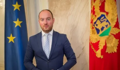 &nbsp;Мирко Станић 