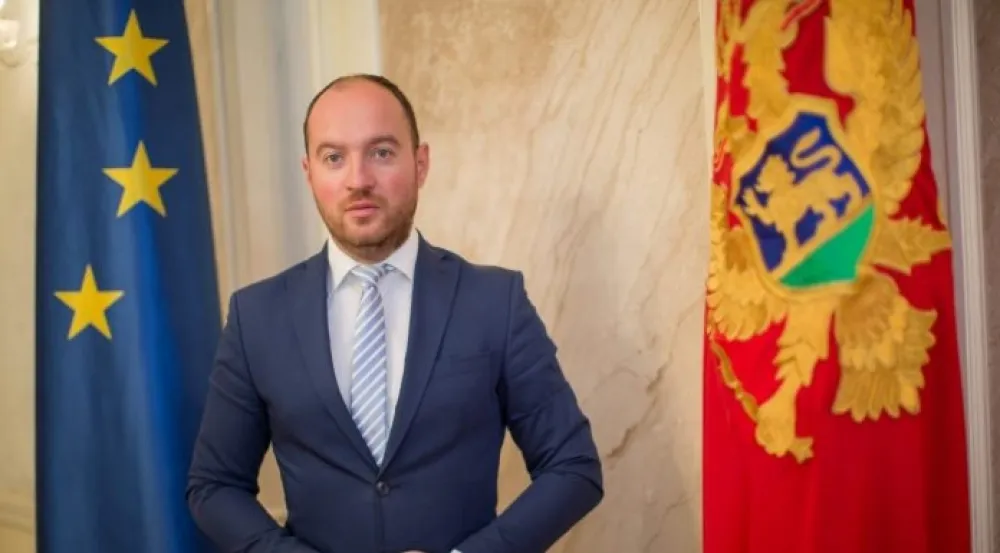 &nbsp;Мирко Станић 
