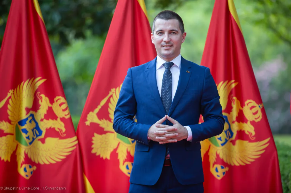 Aleksa Bečić