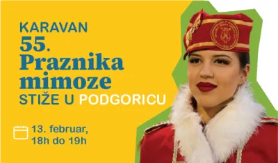 Praznik mimoze