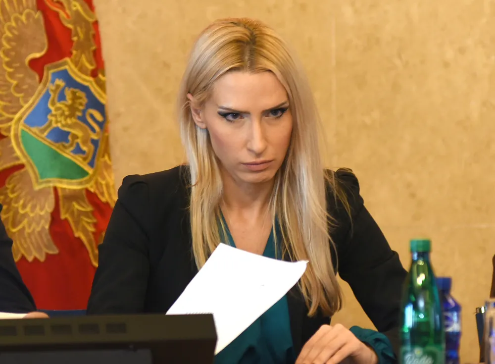 Odbor za evropske integracije - prosiireni sastav
