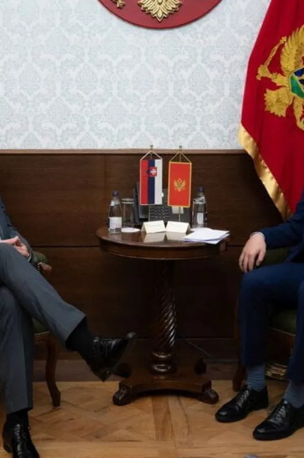 Pejović i Gandel