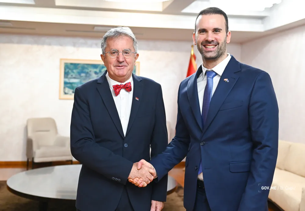 Spajić i Rodić