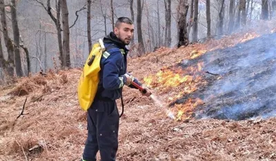 Požar u Mojkovcu