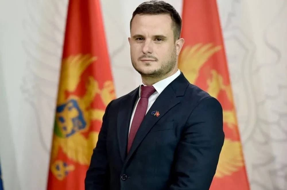 Predrag Zenović
