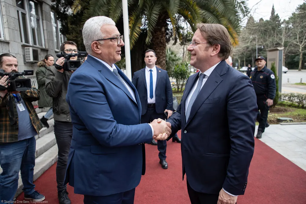 Andrija Mandić i Oliver Varhelji