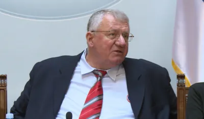 Vojislav &Scaron;e&scaron;elj