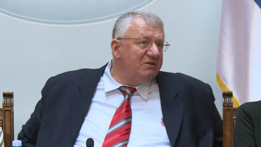 Vojislav &Scaron;e&scaron;elj