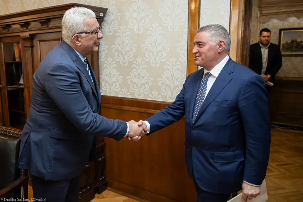 Mandić: Glavni ciljevi Crne Gore članstvo u EU, građenje najboljih odnosa sa susjedima i očuvanja mira