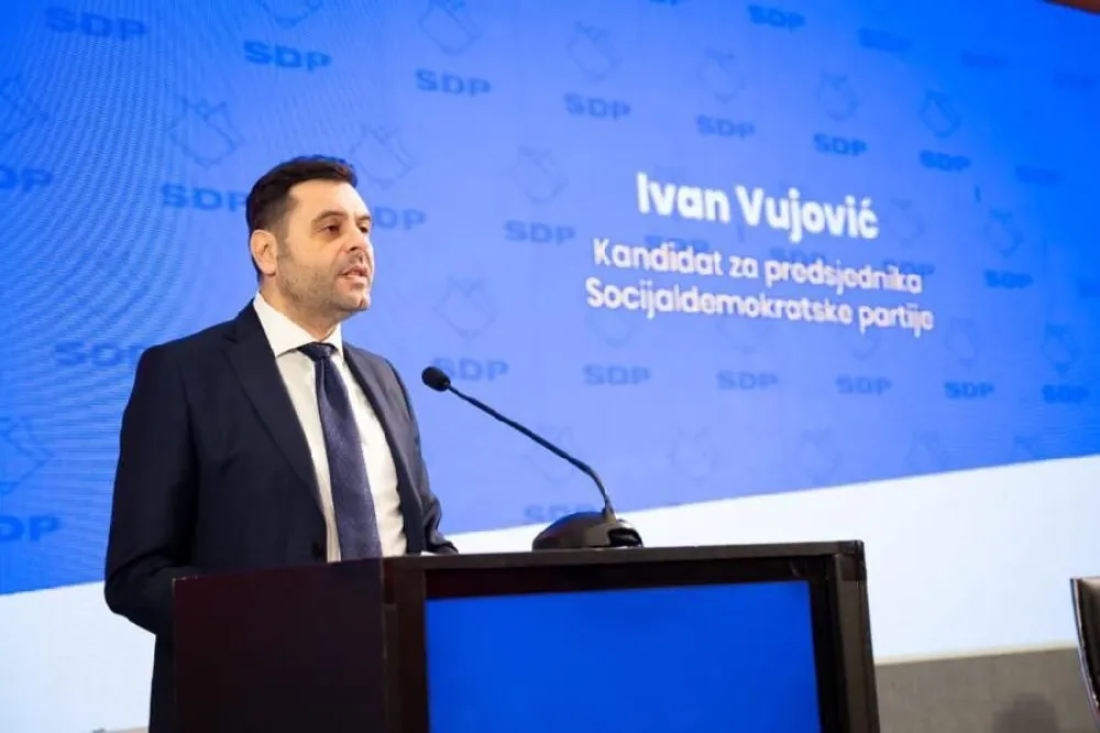 Vujović za &ldquo;Dan&rdquo;: Bićemo akteri procesa koji će poraziti anticrnogorsku politiku