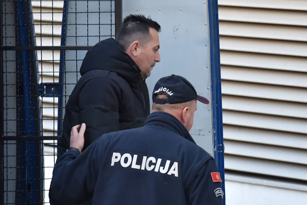 MANS: Nakon hap&scaron;enja Mijajlović prenio vlasni&scaron;tvo nad firmom vrijednom 10 miliona