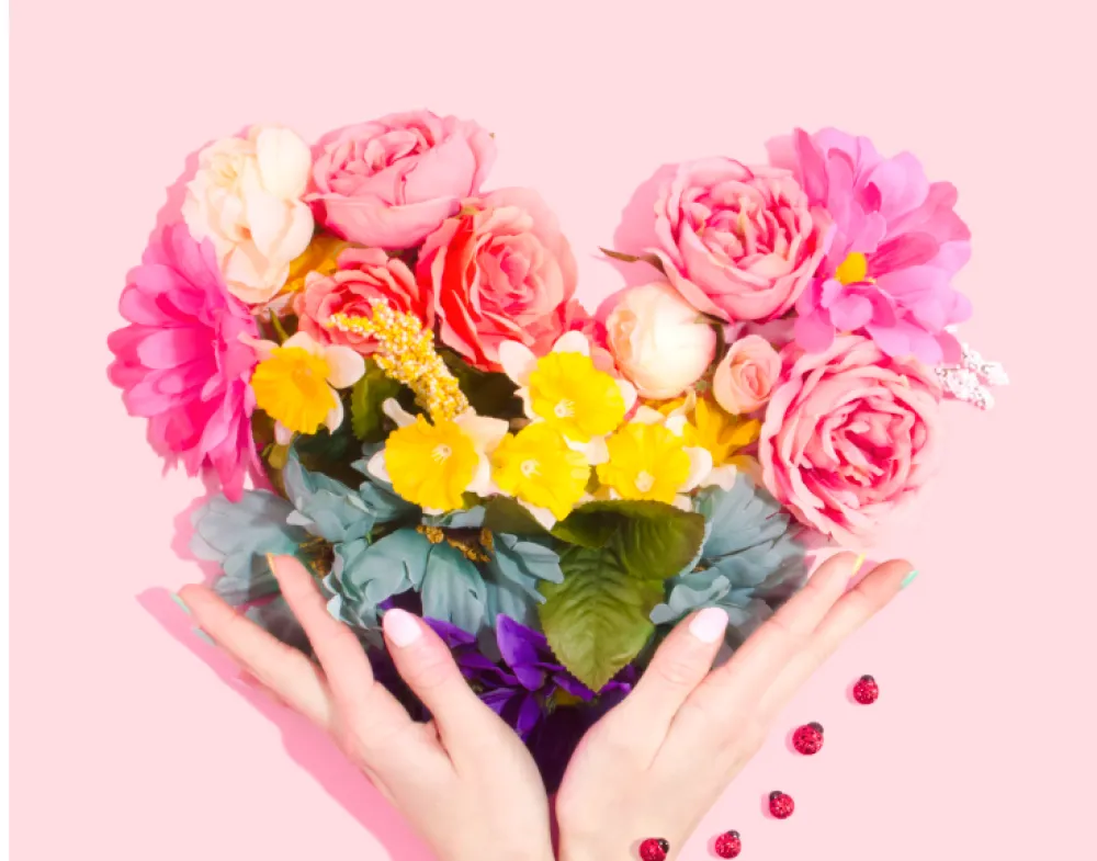 FOTO: Unsplash - Amy Shamblen, cvijeće