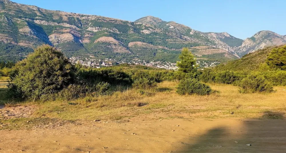 Spičansko polje