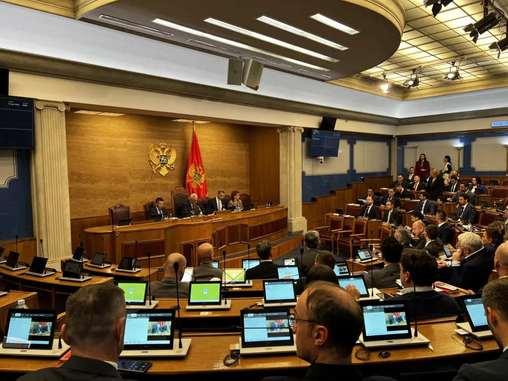 (UŽIVO) PES povukao predlog, raspravljaće se o smjeni Mandića