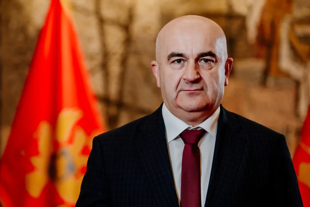 Vladimir Joković