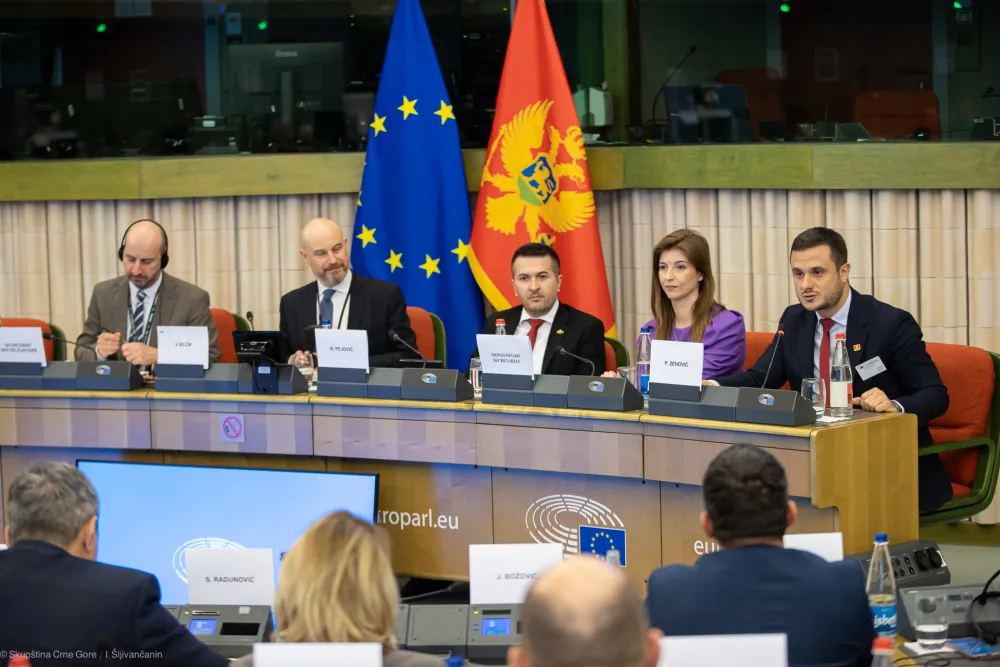 Zenović na POSP-u: Crna Gora ne smije propustiti istorijsku &scaron;ansu