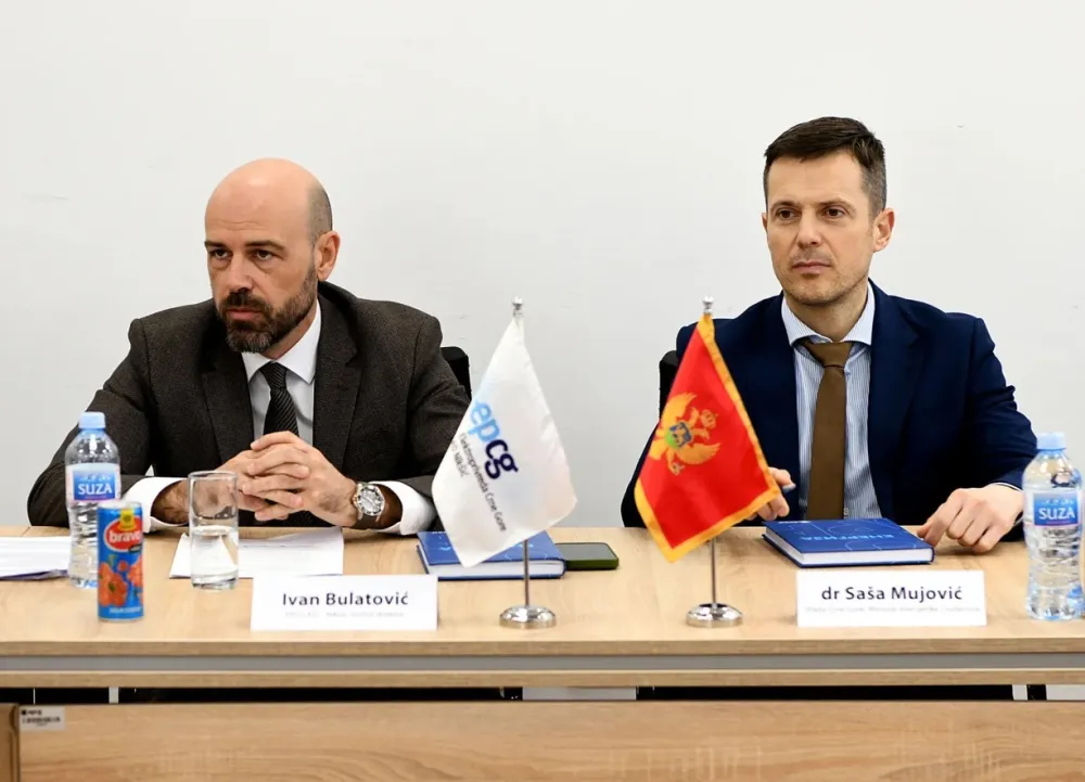 Ivan Bulatović i Sa&scaron;a Mujović