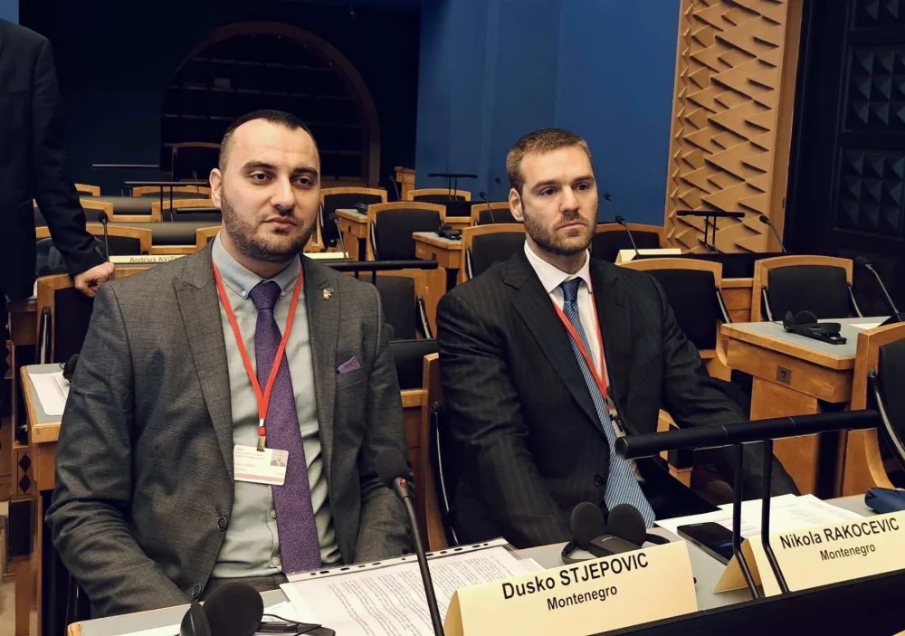 Stjepović i Rakočević na sastanku&nbsp;Parlamentarne skup&scaron;tine NATO-a u Estoniji