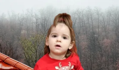 Danka Ilić