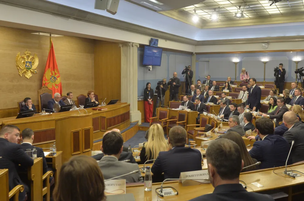 Parlamentarne partije u Crnoj Gori za godinu &ldquo;zaradile&rdquo; oko 14 miliona eura